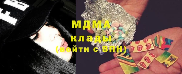 индика Володарск
