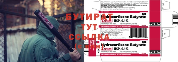 индика Володарск