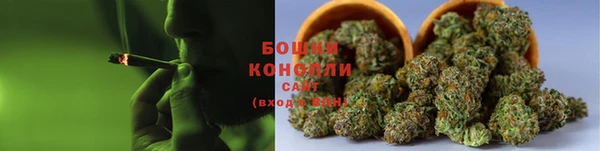 индика Володарск