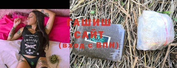 индика Володарск