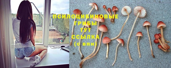 кокс Волосово
