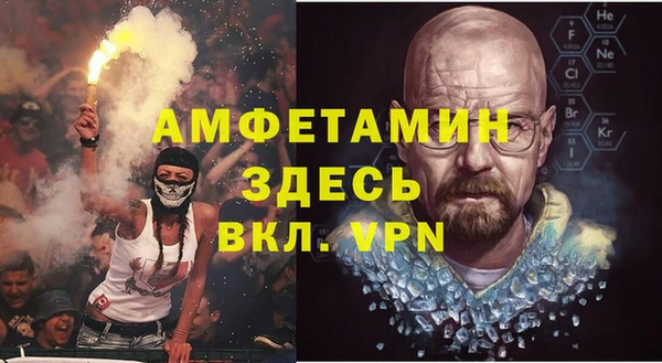 индика Володарск