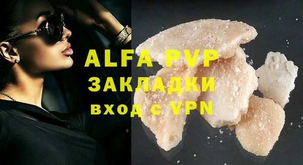 индика Володарск