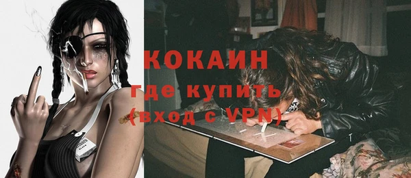 индика Володарск