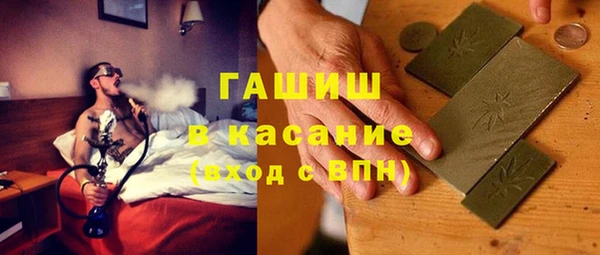 индика Володарск